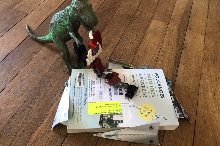 A book surrounded by paper airplanes, a dinosaur, and a Lego creation