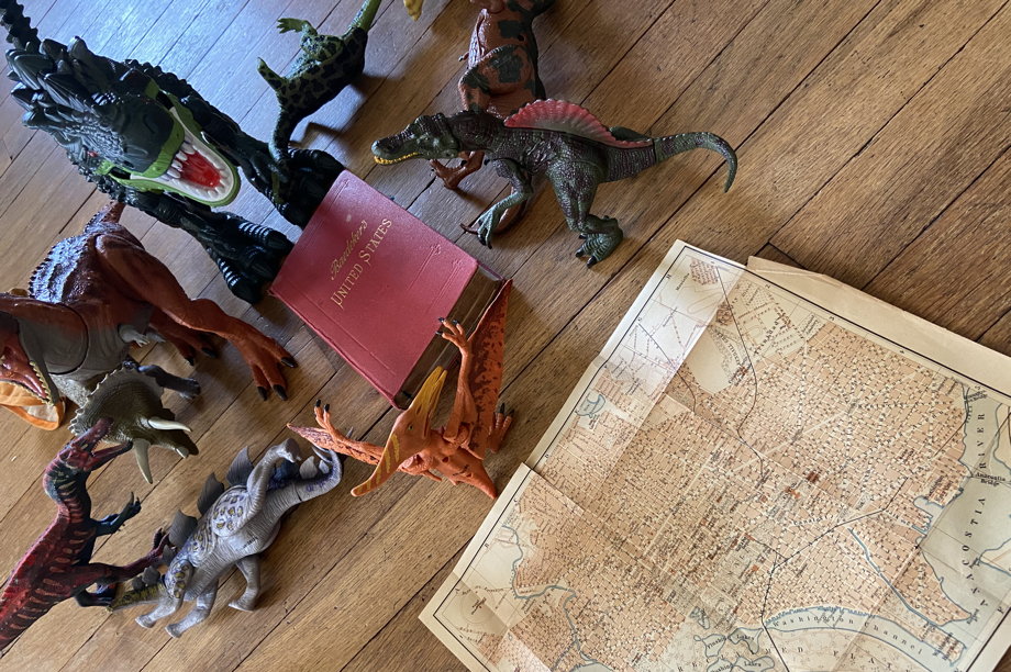 Dinosaurs protecting the book while a map of Washington DC is ignored