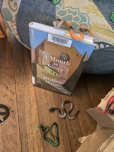 The reviewed book standing upright with plastic snakes adorning it