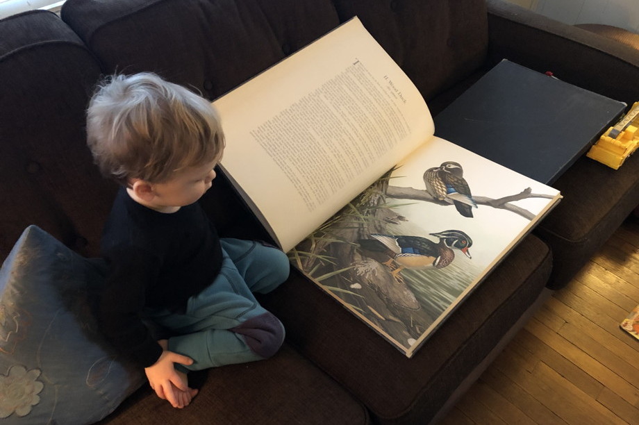 A child sitting on a couch with a huge book