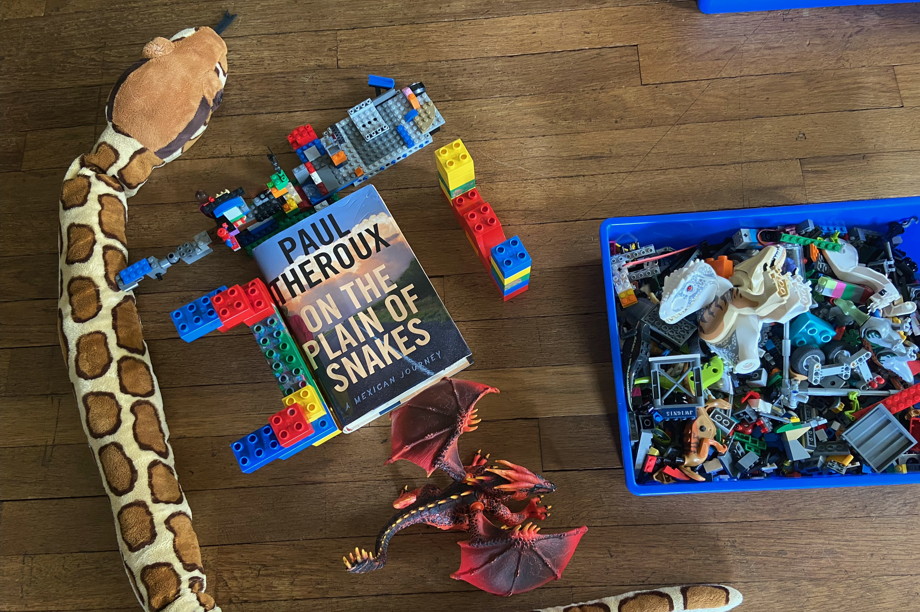 A book surrounded by a plush snake, a red dragon, wings outstretched, and a bin full of Legos
