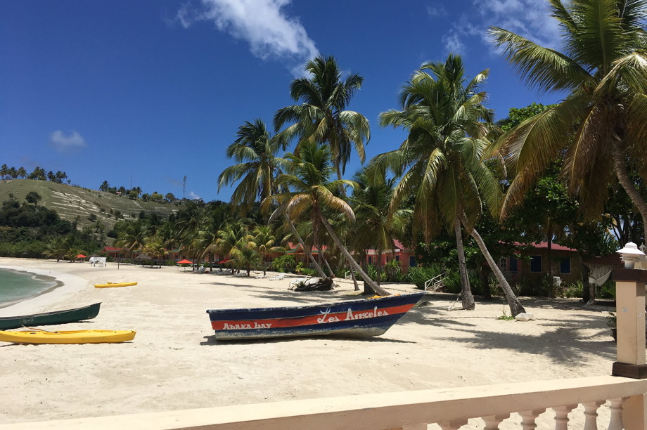 Hotel surrounded by palm trees on a beach with a few boats