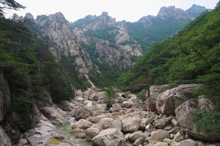 Narrow riverbed of rocks snaking between mountains covered by trees