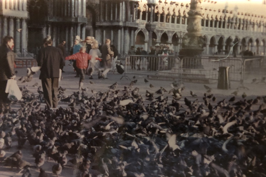 Child running toward a huge swarm of pigeons